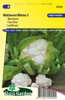 Cauliflower Walcheren Winter 5 (Brassica) 190 seeds SL